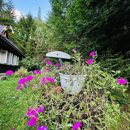 Casa Nor Tarcau
